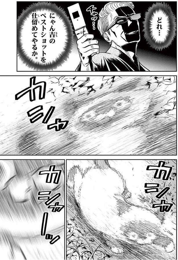どれ...にゃん吉のベストショットを仕留めてやるか （C）片倉頼／小学館