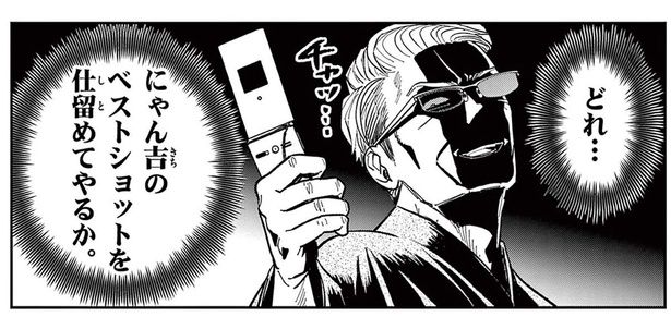 写真に収まってくれない野良猫。元極道がガラケーでチャレンジすると？ （C）片倉頼／小学館