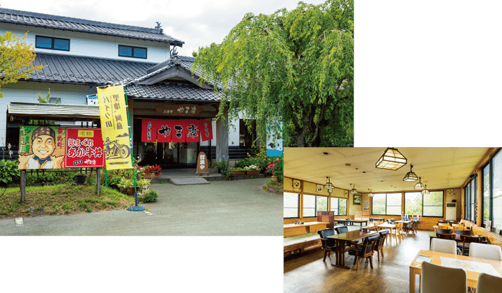 来たからには絶対に食べておきたい阿蘇グルメ！【赤牛編】