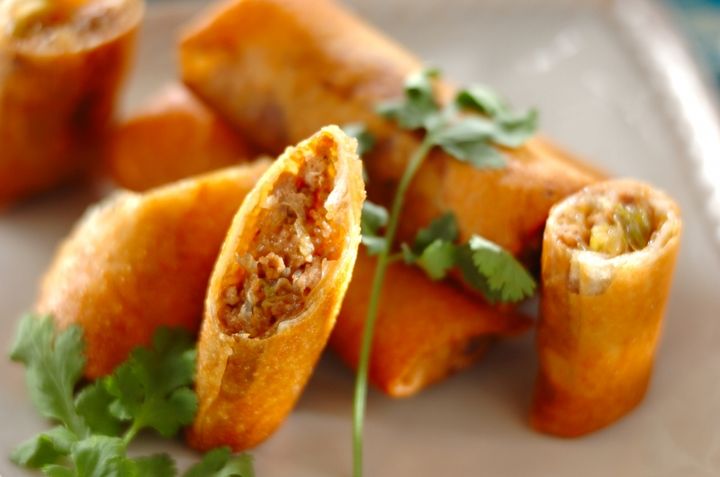 豚ひき肉とキャベツの春巻き 節約おかずレシピ