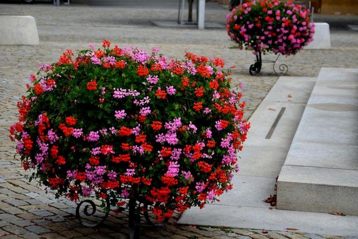 脚つきコンテナで