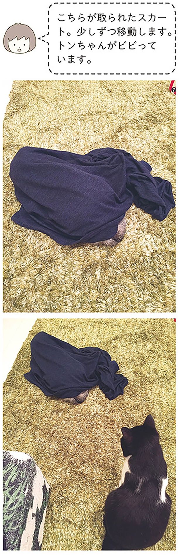 少しずつ移動します。 （C）卵山玉子／KADOKAWA