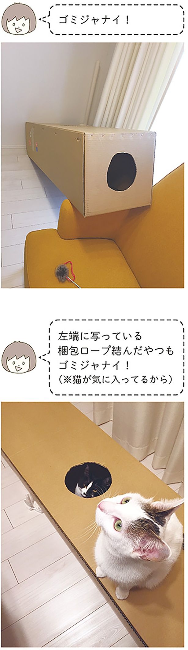 ゴミジャナイ！ （C）卵山玉子／KADOKAWA