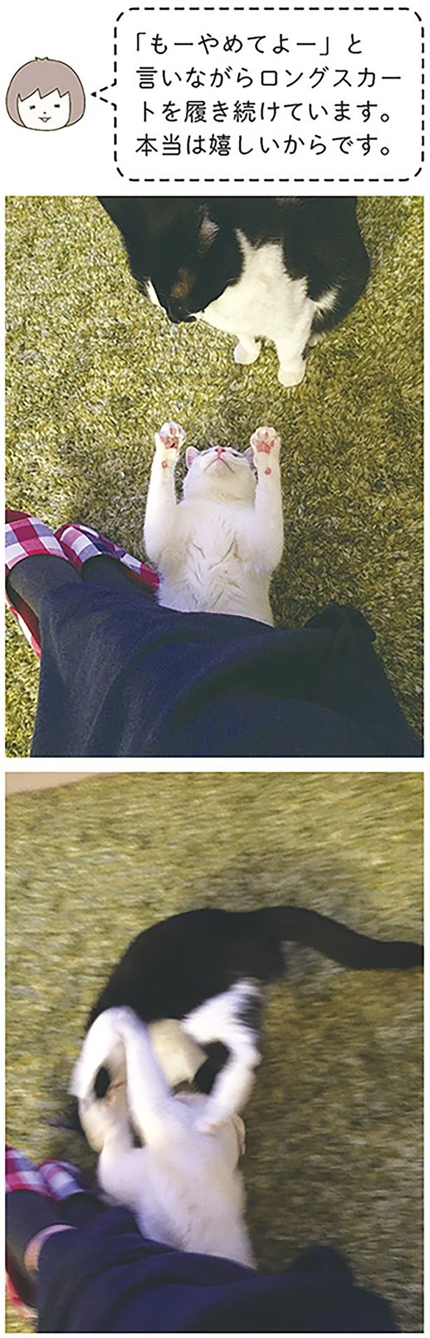 本当は嬉しいからです。 （C）卵山玉子／KADOKAWA