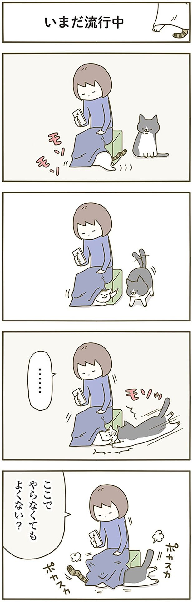 いまだ流行中 （C）卵山玉子／KADOKAWA