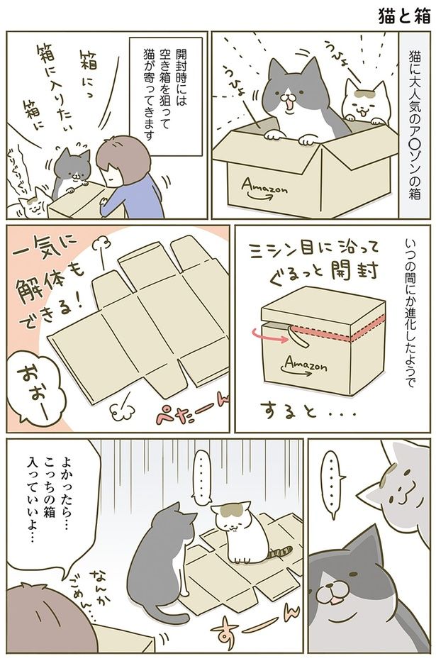 猫に大人気の箱 （C）卵山玉子／KADOKAWA