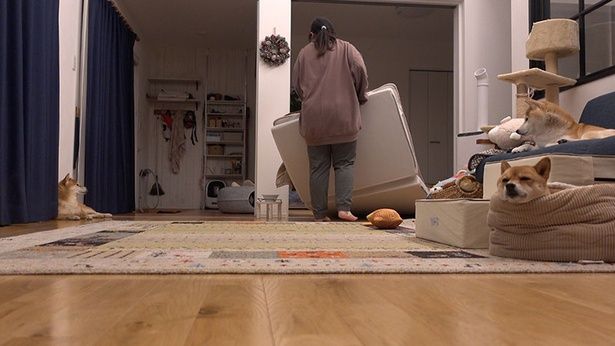 パパさんがいないので、リビングに布団を敷いてみんなと寝ることに