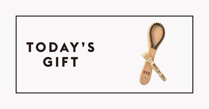 〈浅草アートブラシ社〉の毛玉取りブラシ