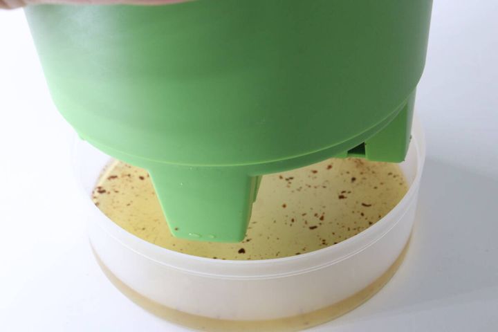 ダイソーのフレッシュバジルの受け皿