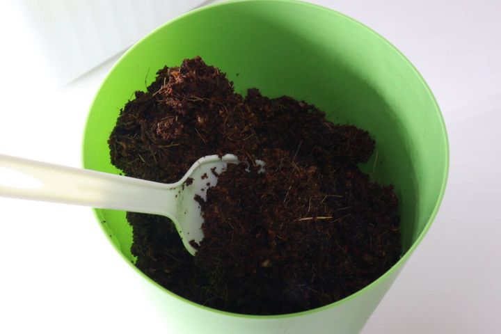 ダイソーのフレッシュバジルの使用例