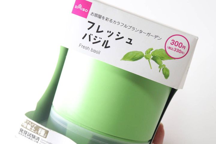 ダイソーのフレッシュバジルのビジュアル