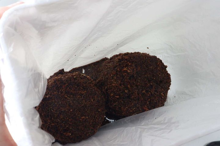 ダイソーのフレッシュバジルの用土