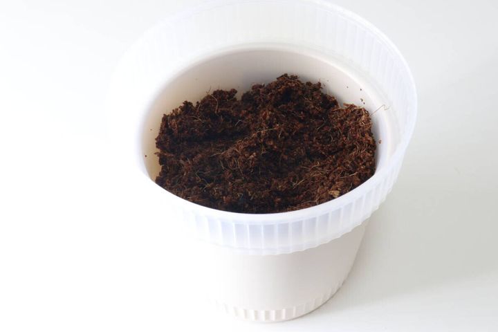 セリアの観察できる植木鉢に土を入れた様子