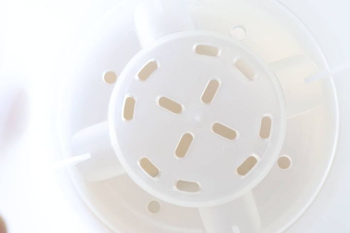 セリアの観察できる植木鉢の底穴