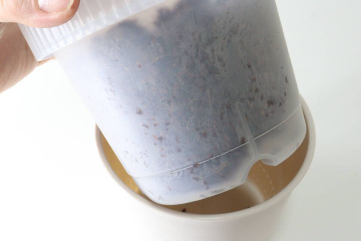 セリアの観察できる植木鉢は土の湿り具合を確認しやすい