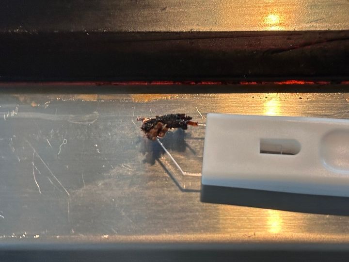 汚れがかき出された（一部）