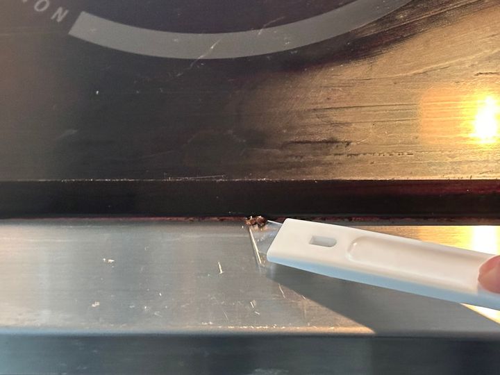 すき間にスルッと入っていく