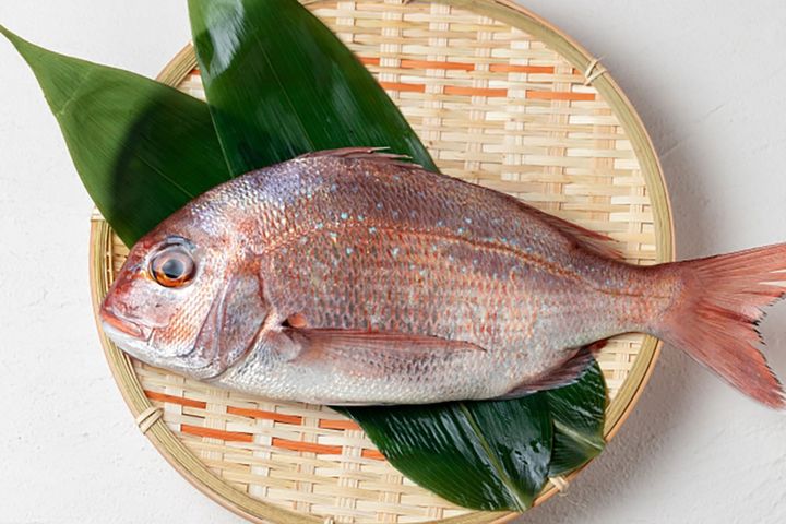 赤い色がお祝い感を演出する「鯛」。春の「桜鯛」とは体色が美しく、おいしさも格別です。