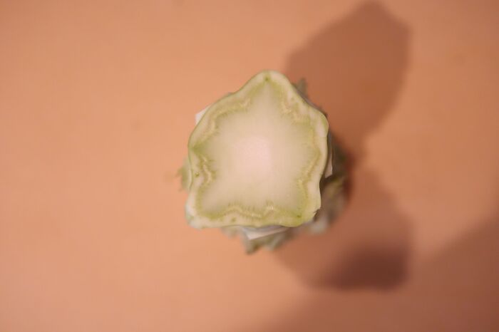 ブロッコリーの皮を一瞬でむく方法！まさかの「するん」とむけました♪思わず試したくなる…