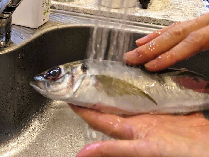 意外と知らない「洗う・洗わない」問題！〈卵、肉、魚〉迷う食材をまとめました！