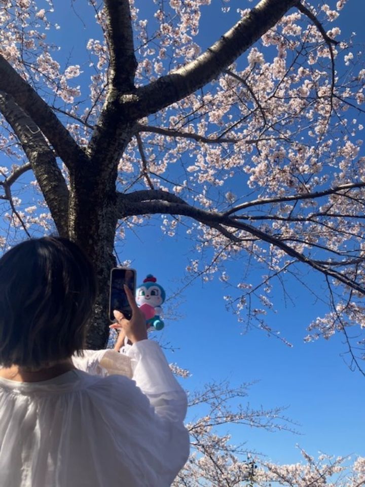中川由起子さんお花見3