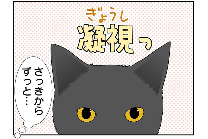 【マンガ・老猫日誌＃40】老猫が目で訴えていたことは？19歳の元保護猫・桃姐