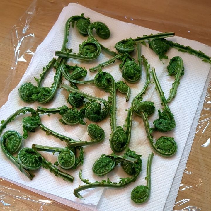 余分な水気をキッチンペーパーなどで取ります