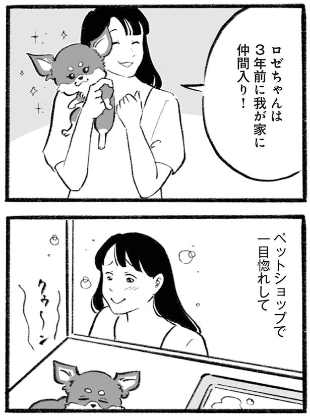 ペットショップで一目惚れして （C）りせとルイス、チャチャモ シトロン／KADOKAWA