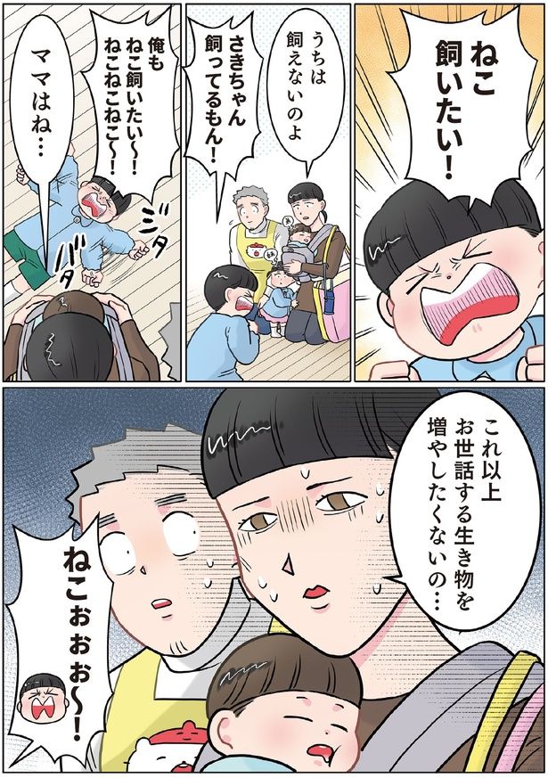 「ねこ飼いたい！」 （C）でこぽん吾郎／KADOKAWA