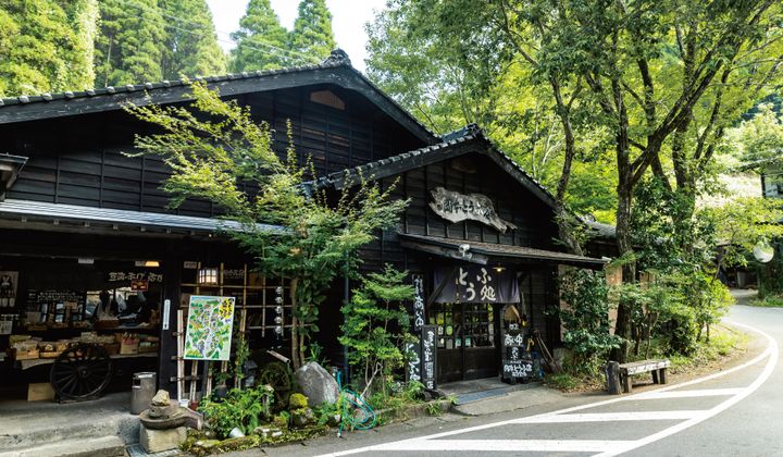 来たからには絶対に食べておきたい阿蘇グルメ！【郷土料理編】