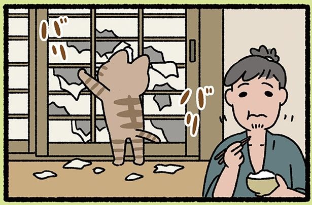 気にせずバリバリ （C）ぱんだにあ／KADOKAWA