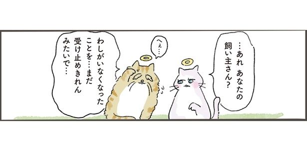 わしがいなくなったことを…まだ受け止めきれんみたいで… （C）中山有香里／KADOKAWA