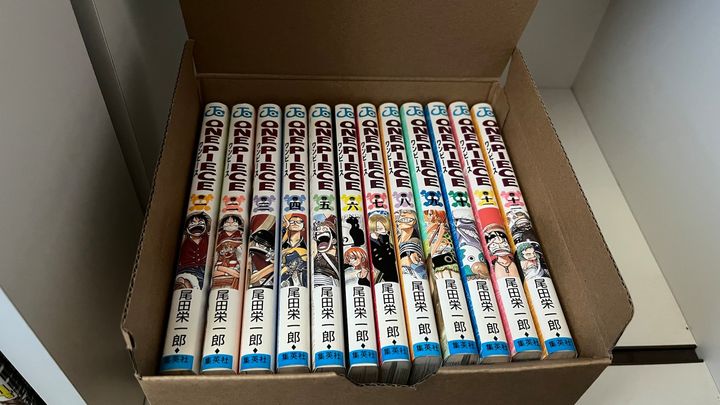 100均で本棚整理グッズを買って試してみた！【ダイソー・セリア・キャン★ドゥ】