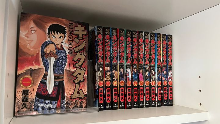 100均で本棚整理グッズを買って試してみた！【ダイソー・セリア・キャン★ドゥ】