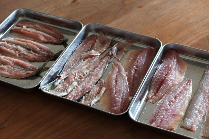 イワシ、アジ、カマス