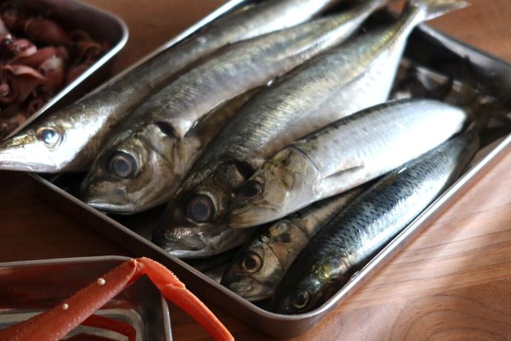 イワシ、アジ、カマス