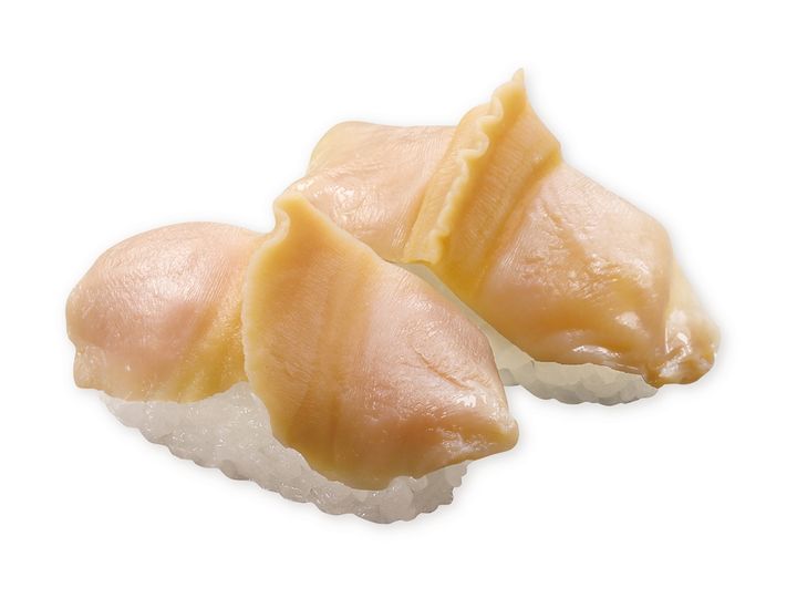 アイスランド貝（長寿貝）