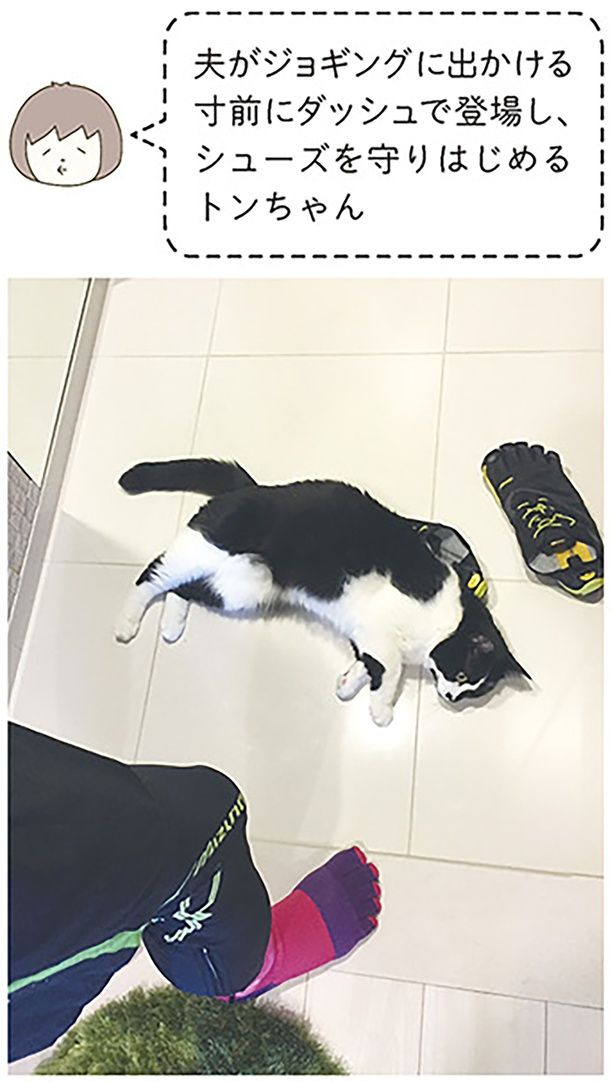 シューズを守りはじめるトンちゃん （C）卵山玉子／KADOKAWA