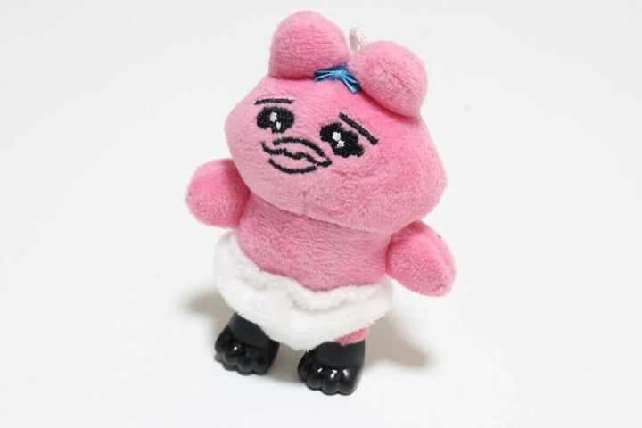 ピンクのぬいぐるみに黒い肉球ブーツを履かせて自立している正面写真