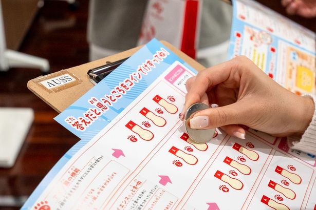 「アジパンダと見つけよう！身近な『アミノサイエンス』クイズラリー」は、館内にあるヒントを手がかりに正解を目指すクイズ。コインでこすって正解を当てよう！