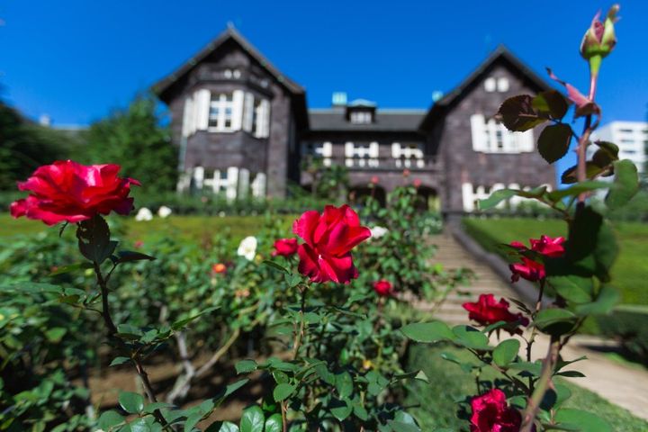 旧古河庭園の洋館とバラ園