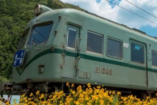 子どもたちで旅程を組み理想の“撮り鉄旅”を叶える、静岡県「電車博士キャンプ」開催