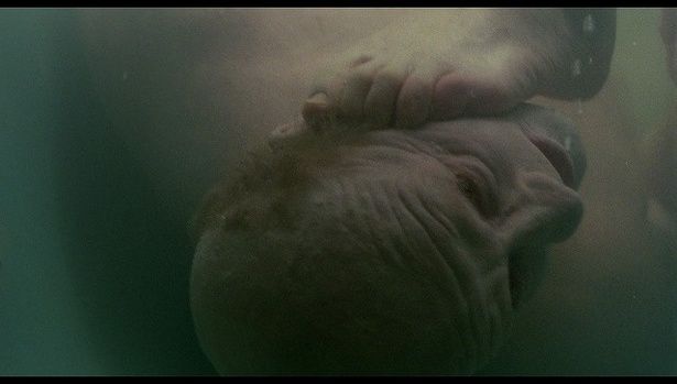  『悪夢の系譜【4Kデジタル修復版】』は4月17日(金)より公開 [c] 1982 Film House/SIS Productions