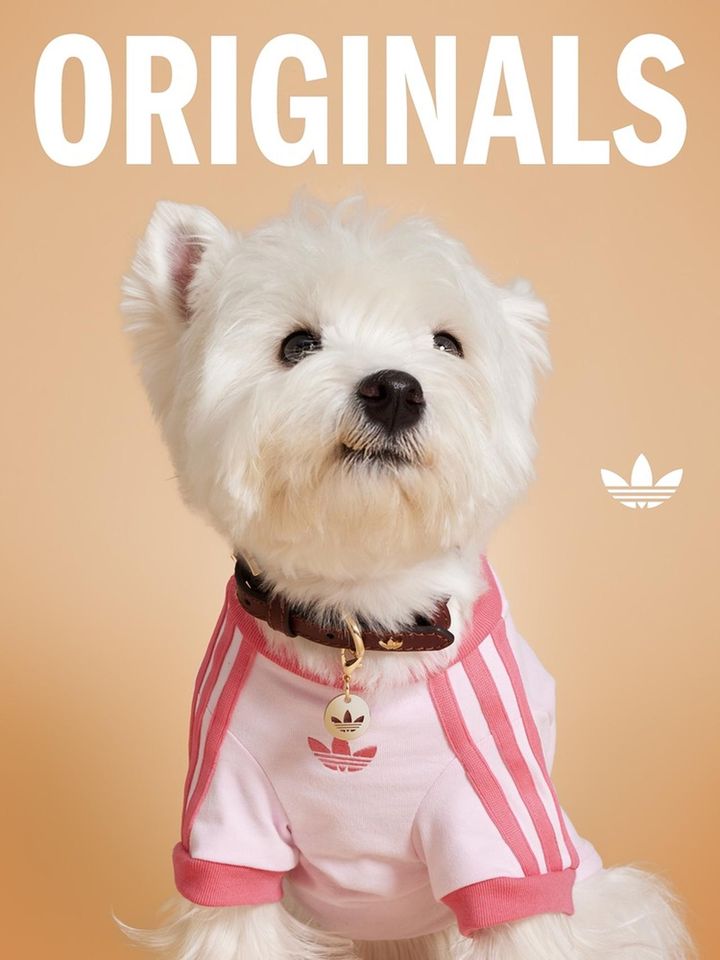 画像7: 東京・渋谷のMIYASHITA PARK「adidas旗艦店」、本日リニューアルオープン！各国代表ユニフォームを国内最大規模で展開