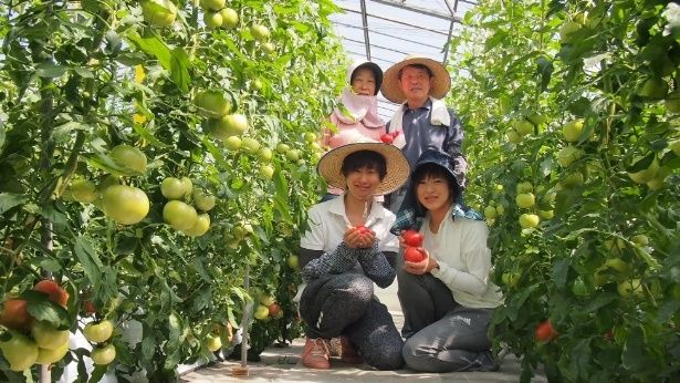 写真提供：株式会社ヨダファーム