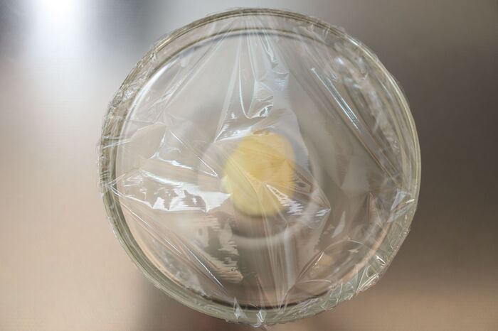 「ふんわりとラップをかける」の正しい意味知ってる？実は間違いがち。正しい手順だと仕上がりも変わります♪