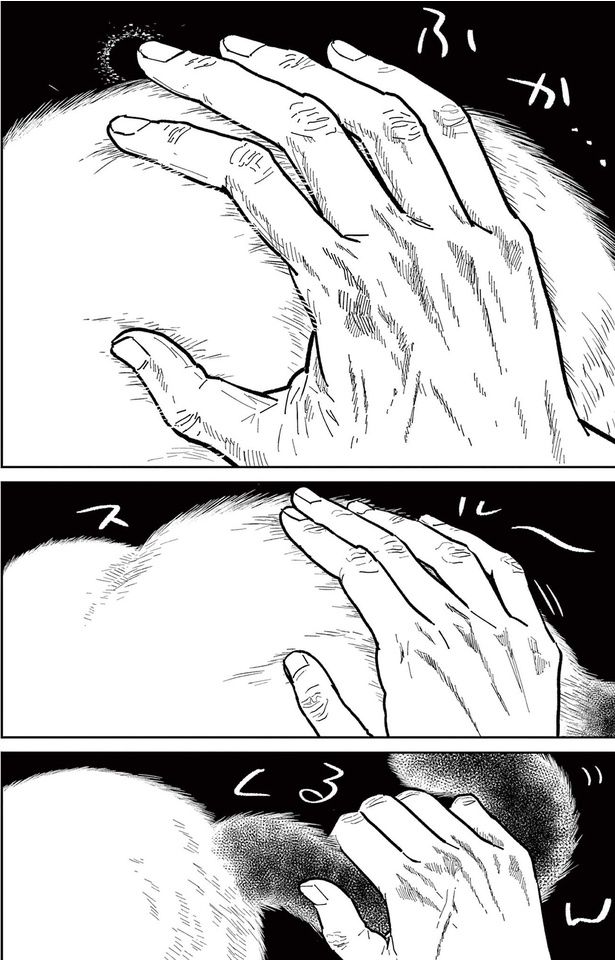 ふか （C）片倉頼／小学館