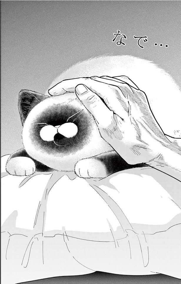 なで... （C）片倉頼／小学館