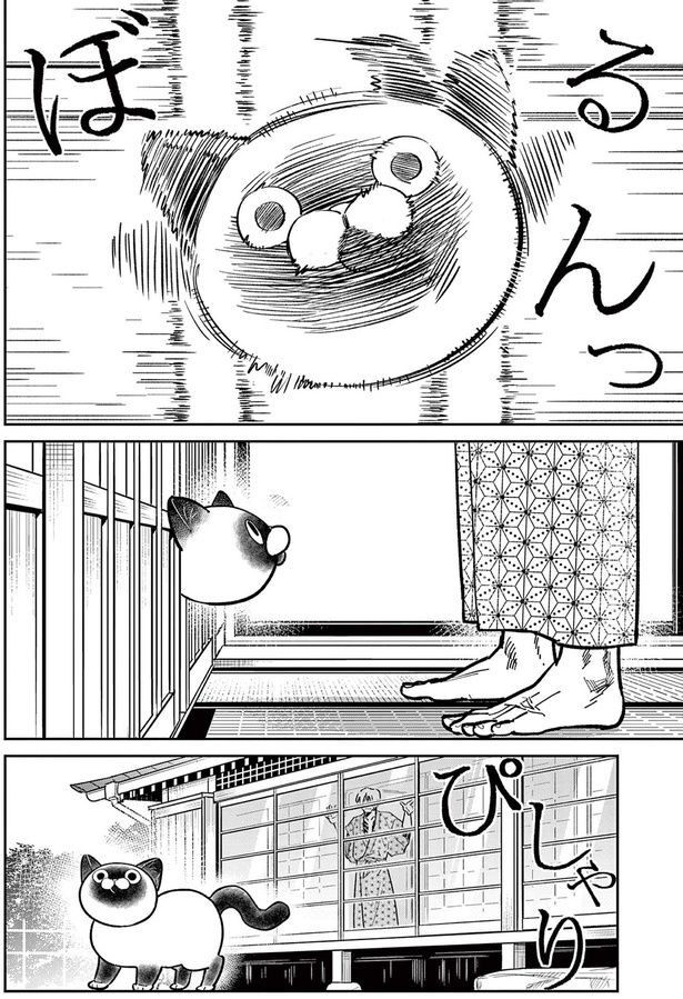 ぴしゃり （C）片倉頼／小学館