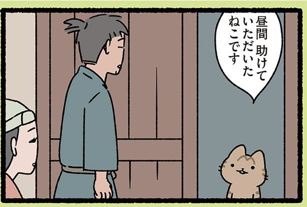 昼間助けていただいたねこです （C）ぱんだにあ／KADOKAWA
